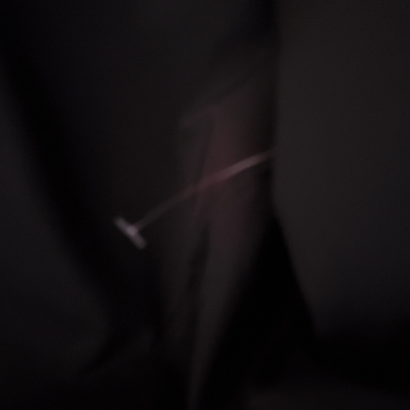 Le Château Blazer - Picture 9 of 9